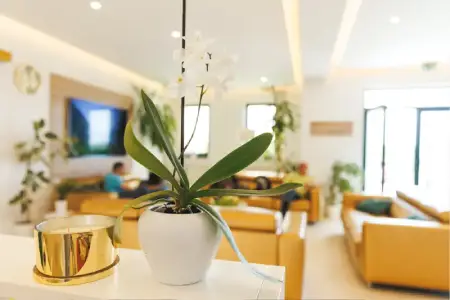 Clinica dentale Dental professionals Croazia