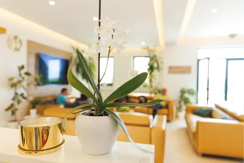 Clinica dentale Dental professionals Croazia